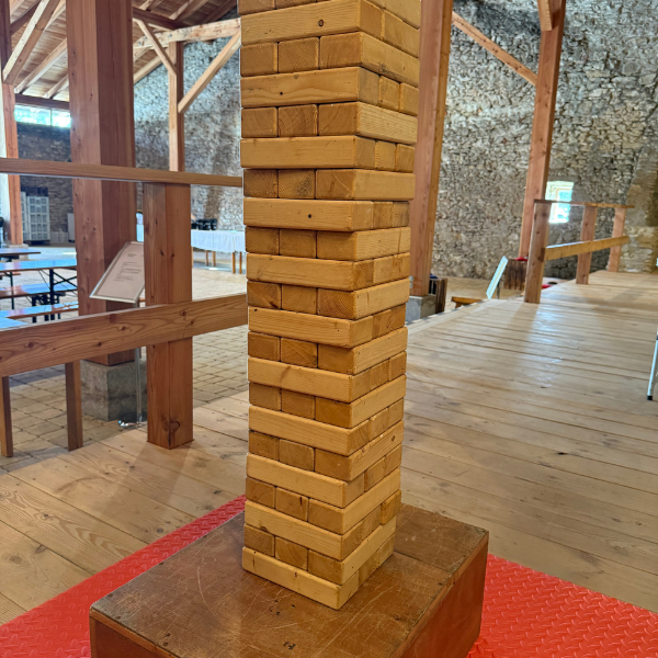 XXL Teamspiele von DONAUEVENTS